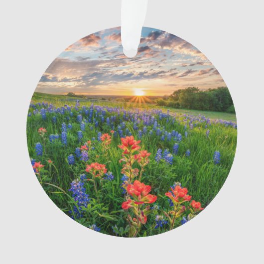 Bloemen | Texas Bluebonnets & Indian Paintborstel Ornament (voorkant)