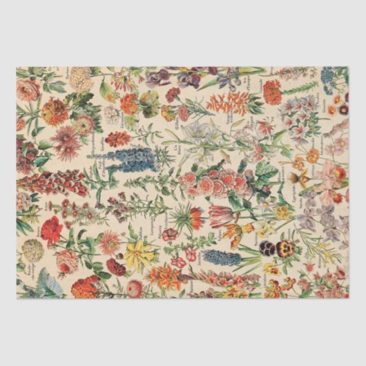  bloemen tissuepapier (Voorkant)