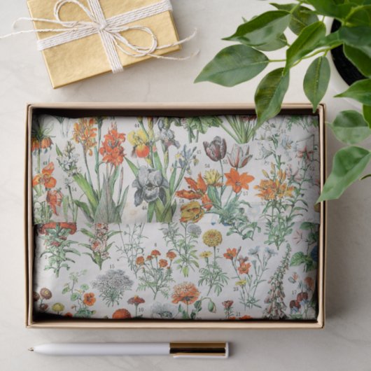  bloemen  tissuepapier (Geschenk)