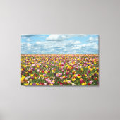 Bloemen | Tulpen Willamette Valley Oregon Canvas Afdruk (Voorkant)