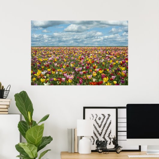 Bloemen | Tulpen Willamette Valley Oregon Poster (Thuiskantoor)