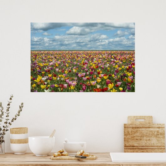 Bloemen | Tulpen Willamette Valley Oregon Poster (Keuken)