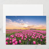 Bloemen | Tulpen Zuid-Holland, Nederland Bedankkaart (Voorkant / Achterkant)