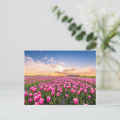 Bloemen | Tulpen Zuid-Holland, Nederland Briefkaart (Staand voorkant)