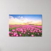 Bloemen | Tulpen Zuid-Holland, Nederland Canvas Afdruk (Voorkant)