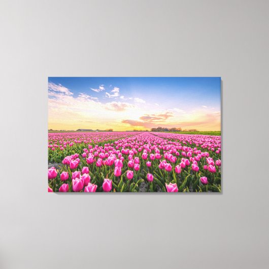 Bloemen | Tulpen Zuid-Holland, Nederland Canvas Afdruk (Voorkant)
