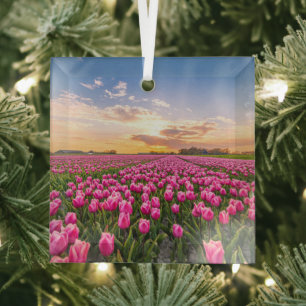 Bloemen   Tulpen Zuid-Holland, Nederland Glas Ornament