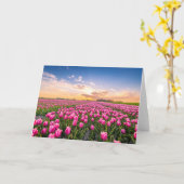 Bloemen | Tulpen Zuid-Holland, Nederland Kaart (Gele Bloem)