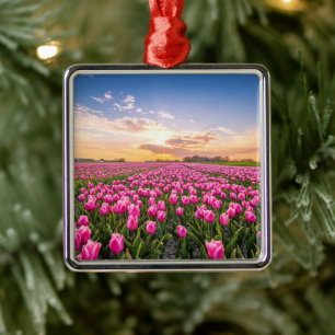 Bloemen   Tulpen Zuid-Holland, Nederland Metalen Ornament