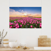Bloemen | Tulpen Zuid-Holland, Nederland Poster (Keuken)