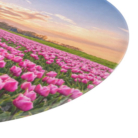 Bloemen | Tulpen Zuid-Holland, Nederland Snijplank (Hoek)