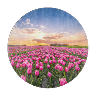 Bloemen   Tulpen Zuid-Holland, Nederland Snijplank