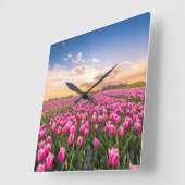 Bloemen | Tulpen Zuid-Holland, Nederland Vierkante Klok (Hoek)