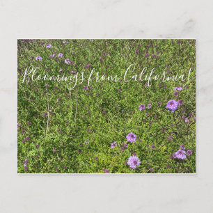 Bloemen uit Californië: De La Mina Verbena Briefkaart