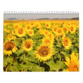 Bloemen uit de hele wereld kalender (Hoes)