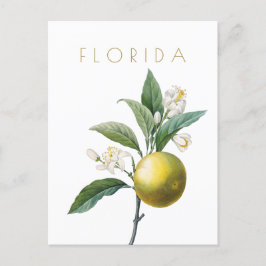  bloemen uit Florida reizen midden eeuw Briefkaart