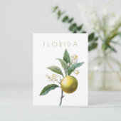  bloemen uit Florida reizen midden eeuw Briefkaart (Staand voorkant)