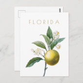  bloemen uit Florida reizen midden eeuw Briefkaart (Voorkant / Achterkant)