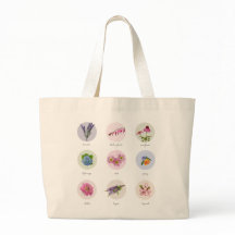 Bloemen uit New England