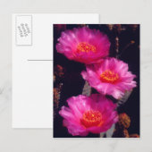 Bloemen van Beavertail Cactus 2 Briefkaart (Voorkant / Achterkant)