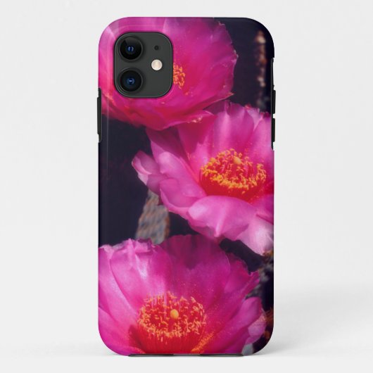 Bloemen van Beavertail Cactus 2 Case-Mate iPhone Case (Achterkant)