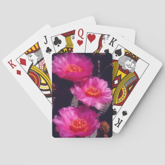 Bloemen van Beavertail Cactus 2 Pokerkaarten (Achterkant)