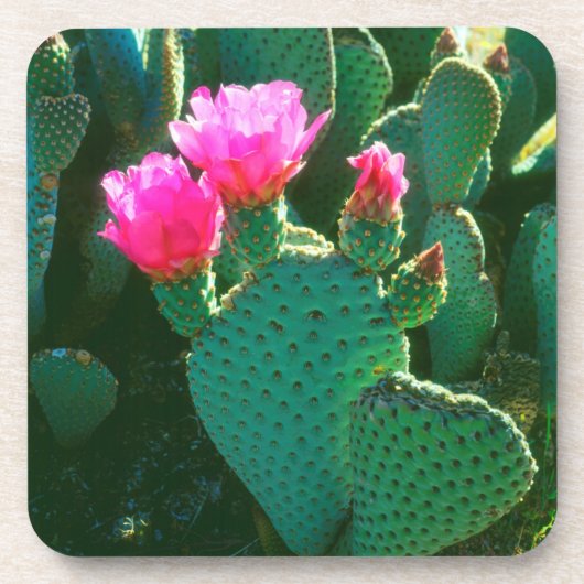 Bloemen van Beavertail Cactus Onderzetter (Voorkant)