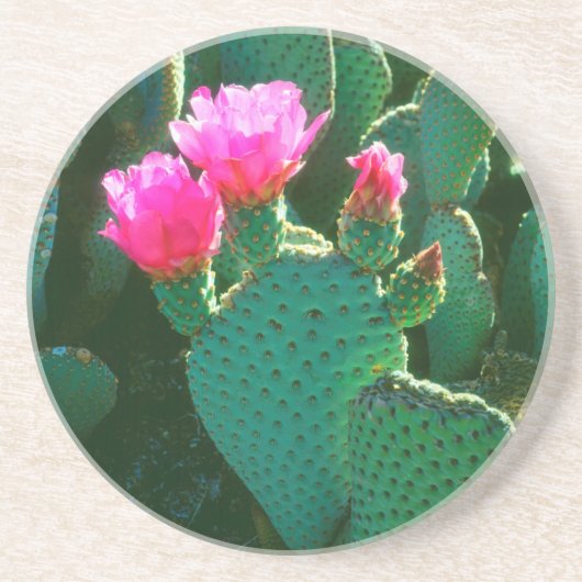 Bloemen van Beavertail Cactus Zandsteen Onderzetter (Voorkant)