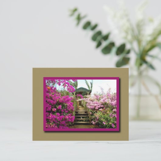 Bloemen van Costa Rica 01 Briefkaart (Staand voorkant)