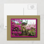 Bloemen van Costa Rica 01 Briefkaart (Voorkant / Achterkant)