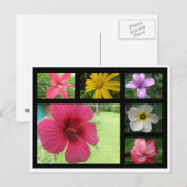 Bloemen van Costa Rica Briefkaart (Voorkant / Achterkant)