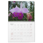 Bloemen van Costa Rica Kalender (Mar 2027)