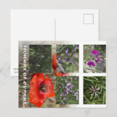 Bloemen van Cyprus Postcare Briefkaart (Voorkant / Achterkant)