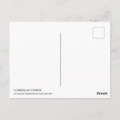 Bloemen van Cyprus Postcare Briefkaart (Achterkant)