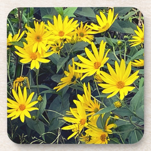 Bloemen van de aardpeer bier onderzetter (Voorkant)