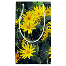 Bloemen van de aardpeer