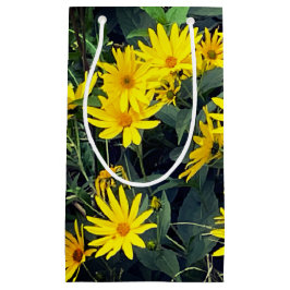 Bloemen van de aardpeer klein cadeauzakje