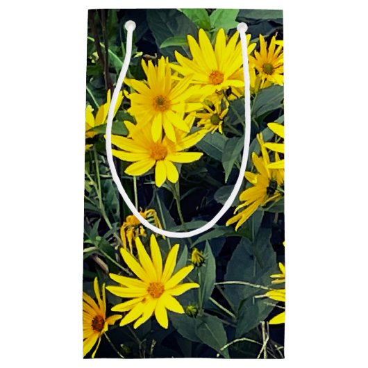 Bloemen van de aardpeer klein cadeauzakje (Voorkant)