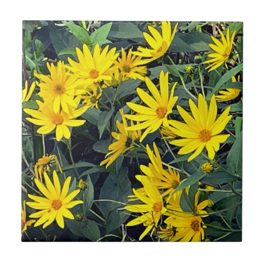 Bloemen van de aardpeer tegeltje (Voorkant)