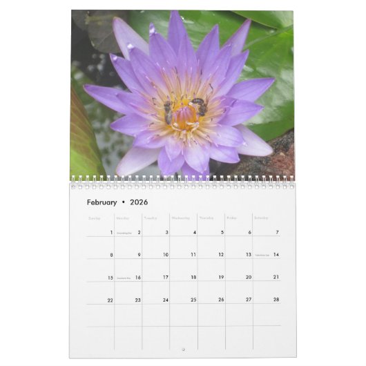 Bloemen van de agenda van Afrika Kalender (Feb 2026)