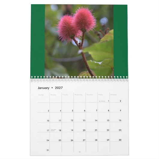 Bloemen van de agenda van Hawaii 2010 Kalender (Jan 2027)