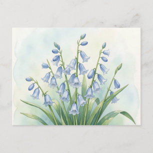 Bloemen van de Blauwe Klokjes Botanische Aquarel Briefkaart