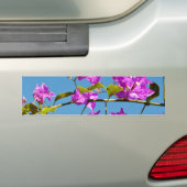 Bloemen van de Bougainvillea Bumpersticker (Op auto)