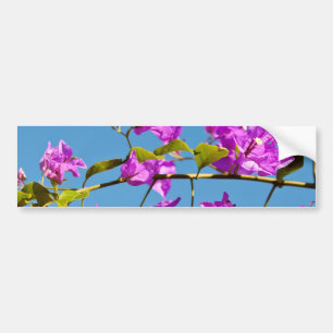 Bloemen van de Bougainvillea Bumpersticker