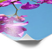 Bloemen van de Bougainvillea Foto Afdruk (Hoek)