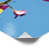 Bloemen van de Bougainvillea Perfect Poster (Hoek)