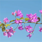 Bloemen van de Bougainvillea Sticker (Voorkant)