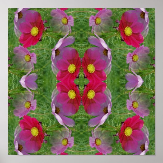 Bloemen van de Cosmos Abstracte Natuur Poster (Voorkant)