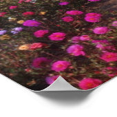 bloemen van de gele rozenmos (Portulaca Grandiflor Poster (Hoek)