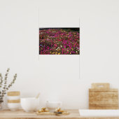 bloemen van de gele rozenmos (Portulaca Grandiflor Poster (Keuken)